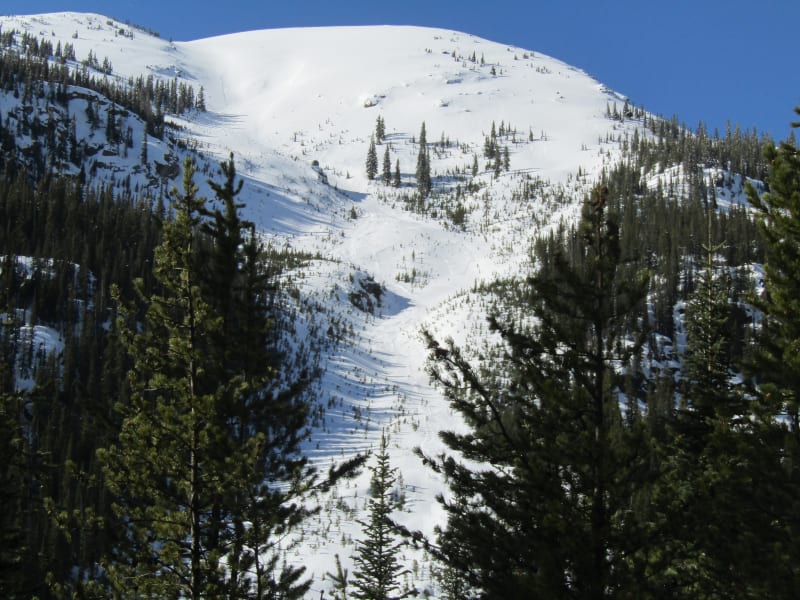 Observation photo 1