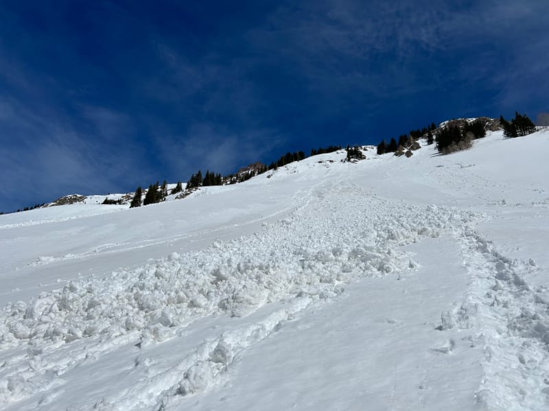 Observation photo 3