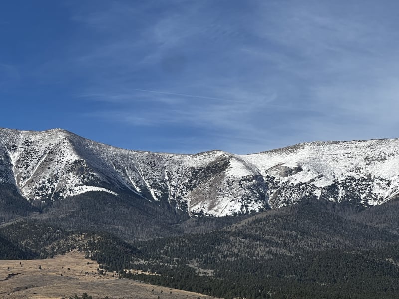 Observation photo 4