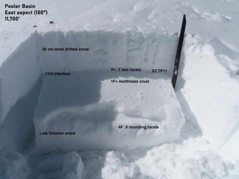 Observation photo 1
