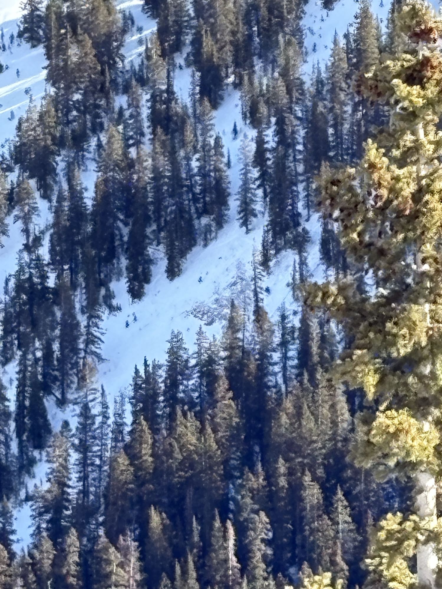 Observation photo