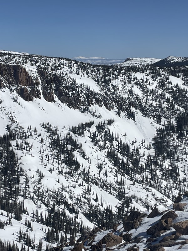 Observation photo 2