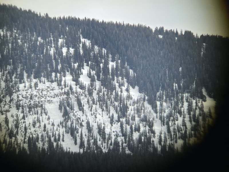 Observation photo 4