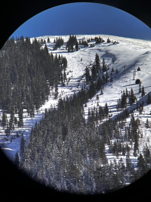 Observation photo 1