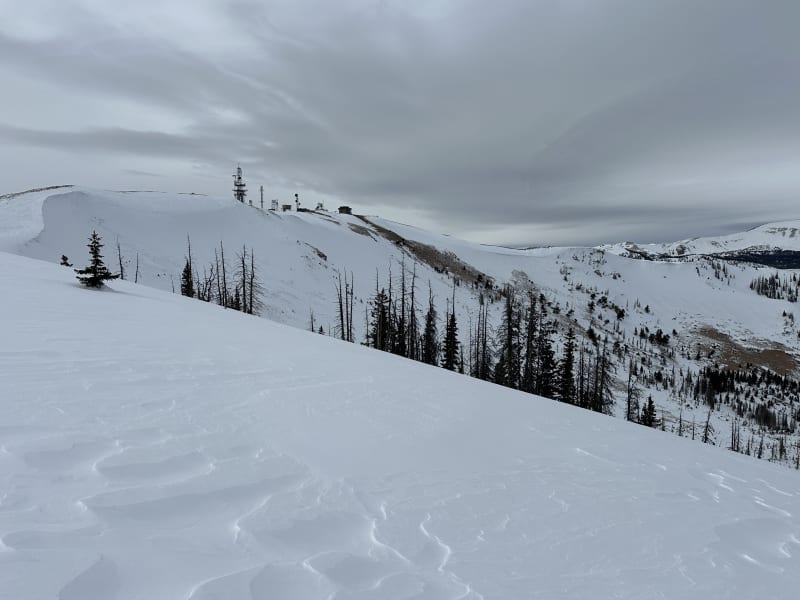 Observation photo 3