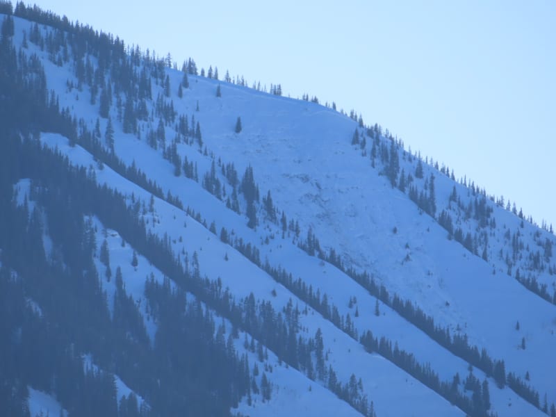 Observation photo 3