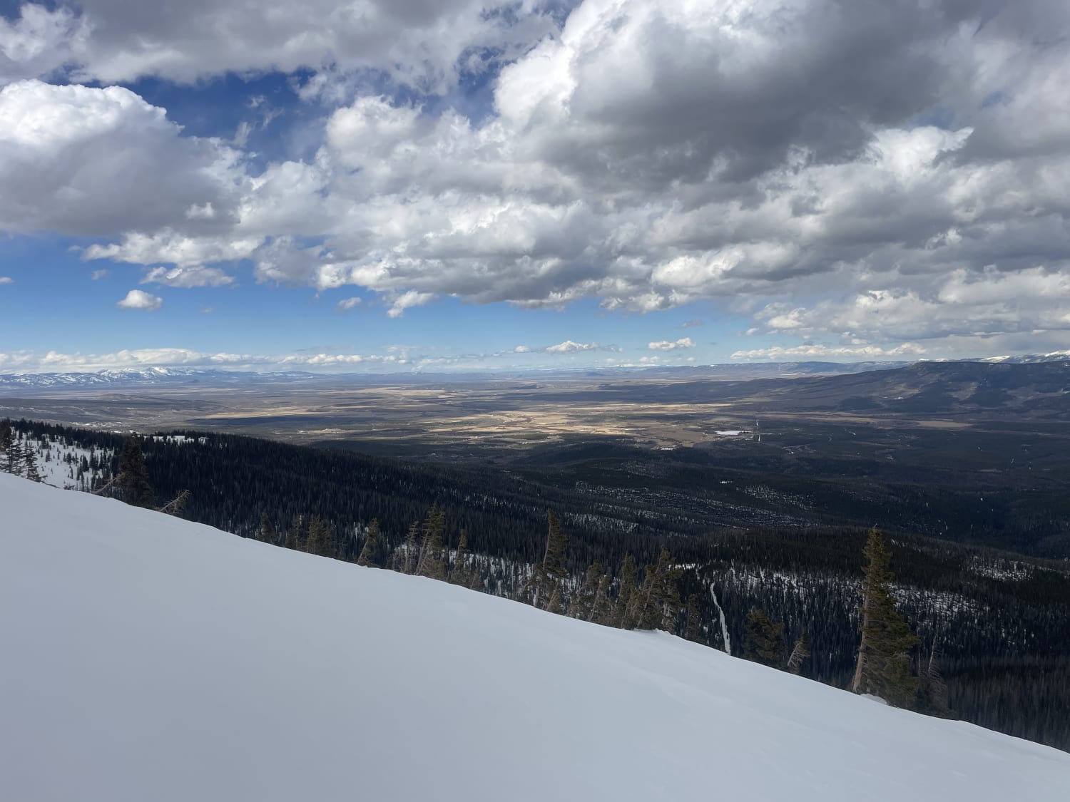 Observation photo