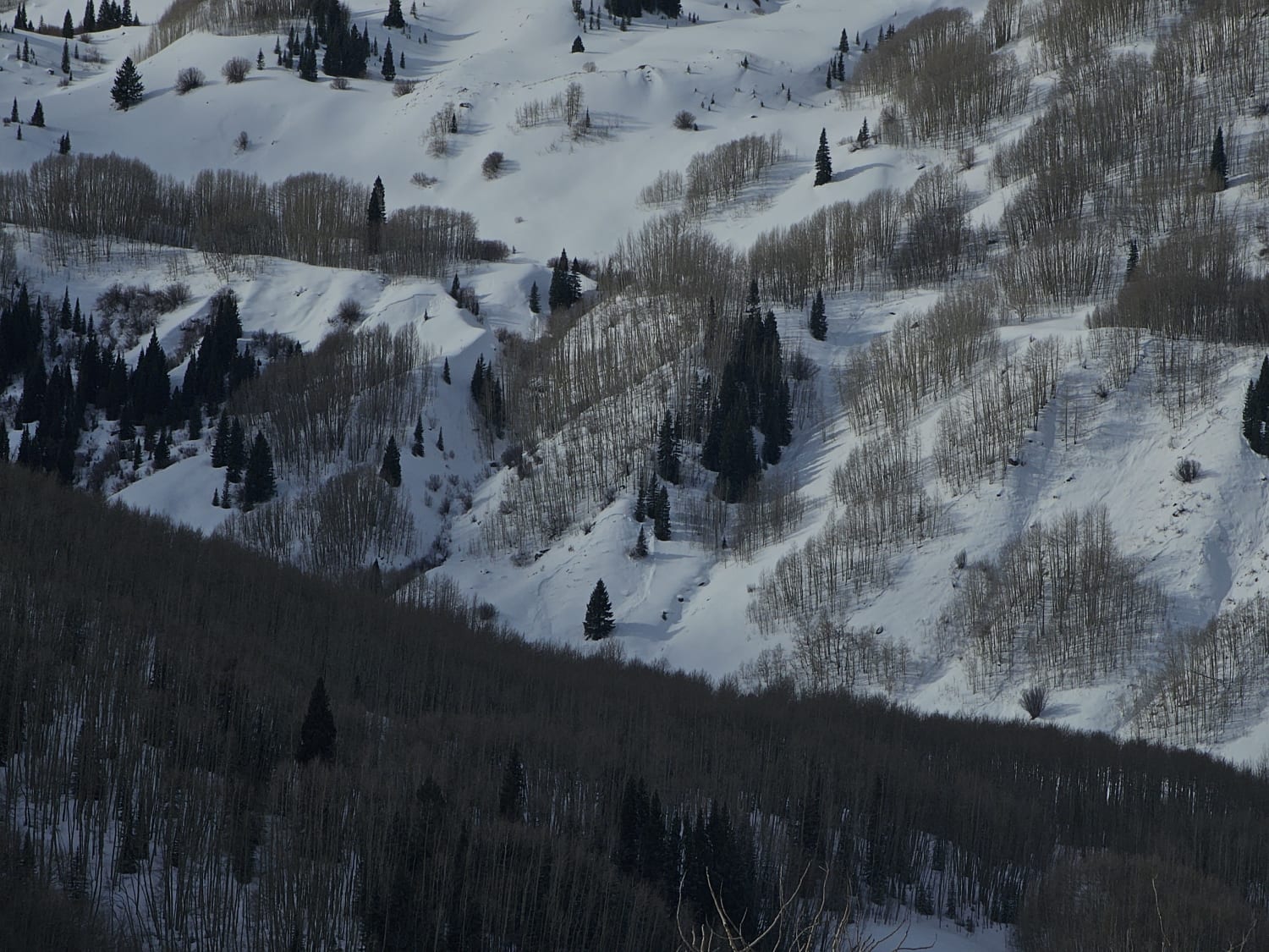Observation photo