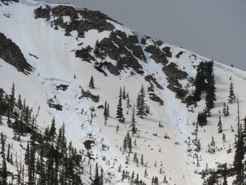 Observation photo 1