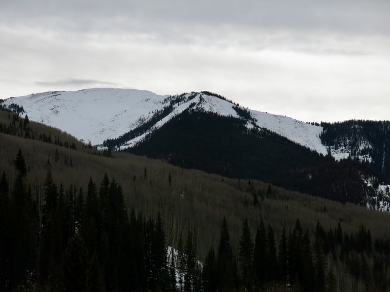 Observation photo 4