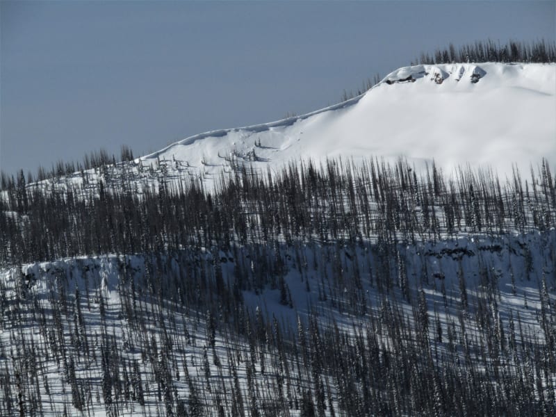 Observation photo 1