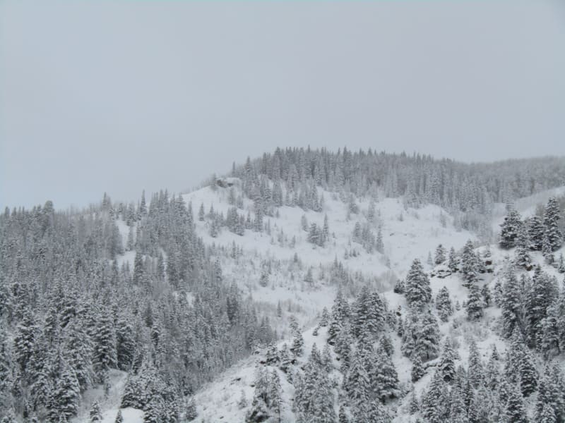 Observation photo 1