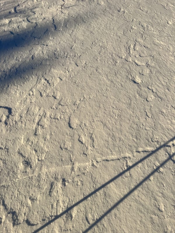 Observation photo 3