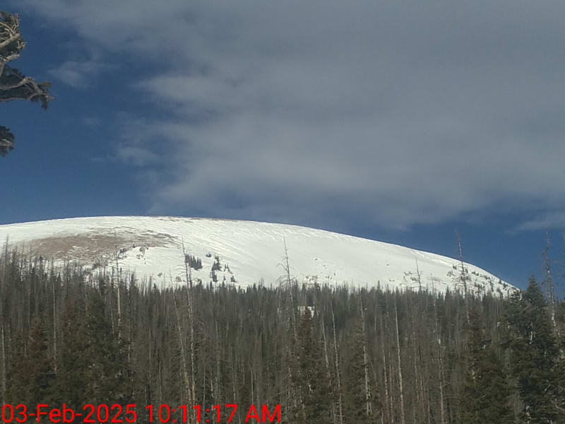 Observation photo 5