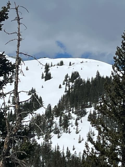 Observation photo 1