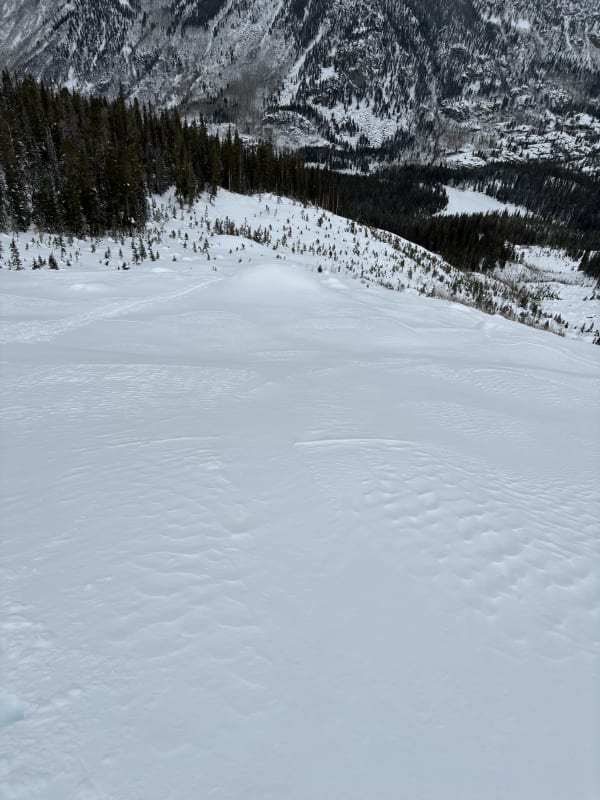 Observation photo 2