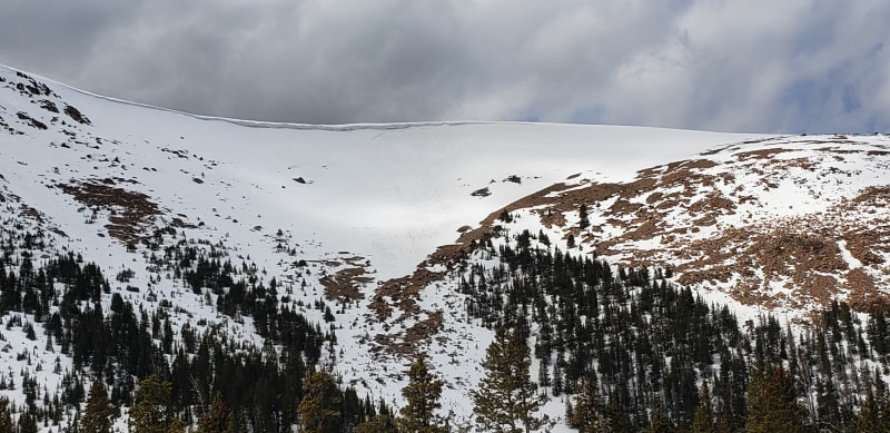 Observation photo 1