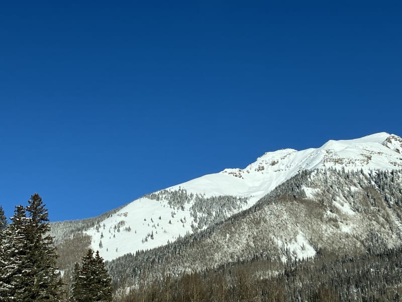 Observation photo 1
