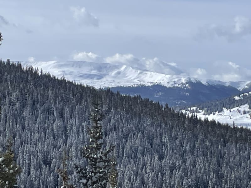 Observation photo 1