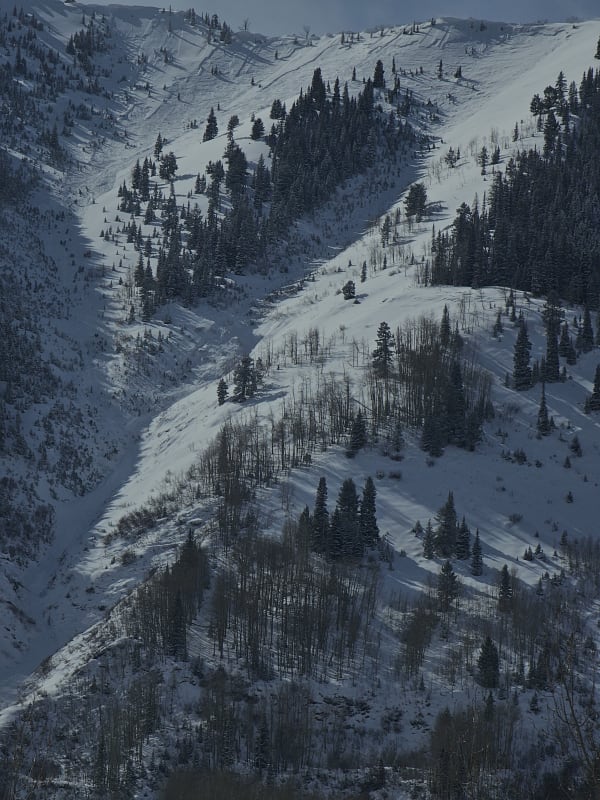 Observation photo 9