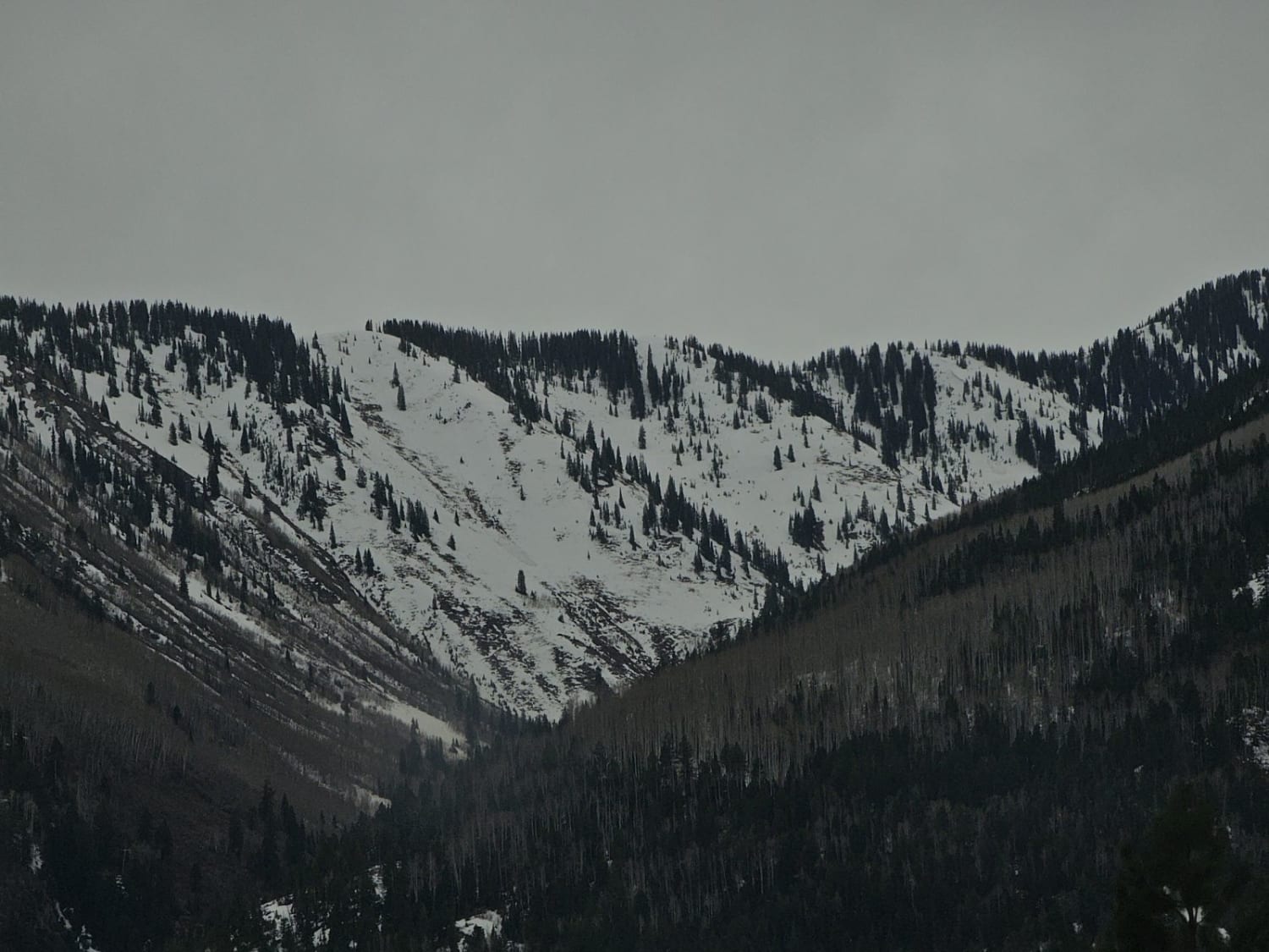 Observation photo