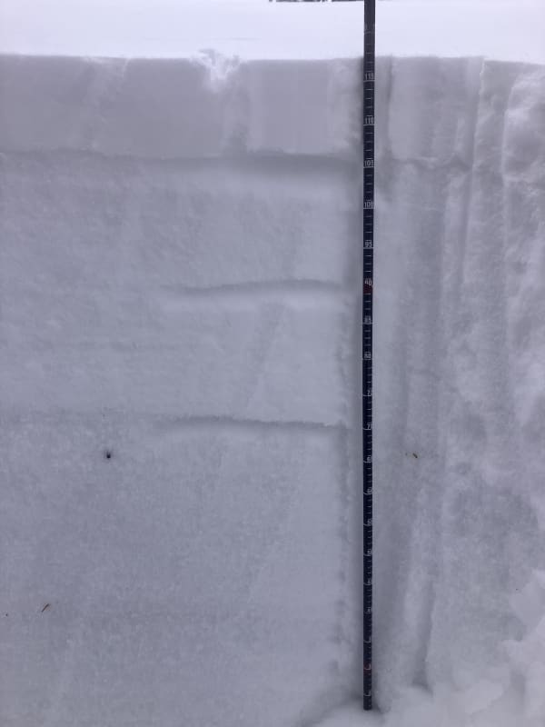 Observation photo 1
