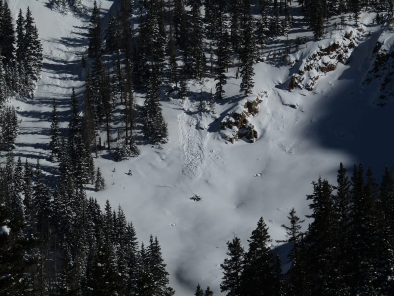 Observation photo 1