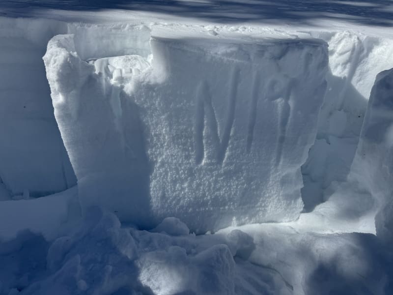 Observation photo 2