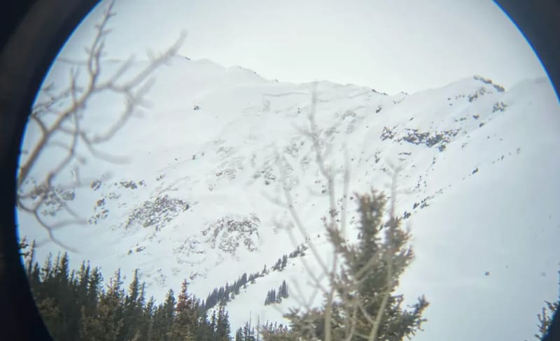 Observation photo 4