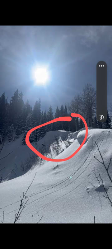Observation photo 1