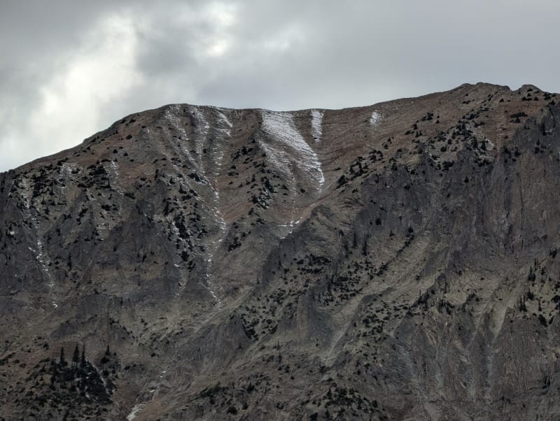 Observation photo 15