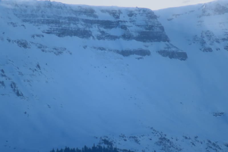 Observation photo 2