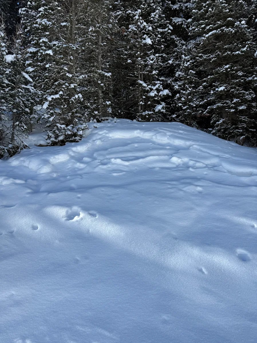 Observation photo
