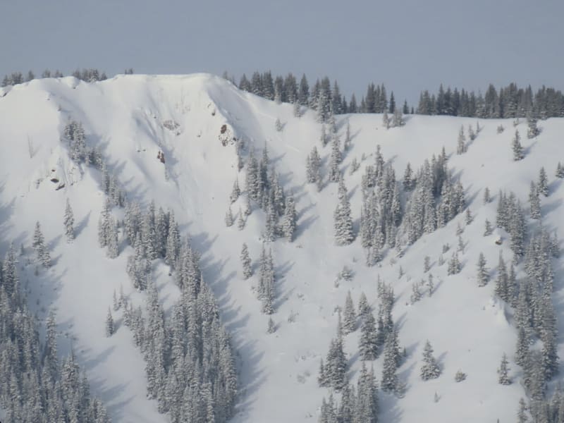 Observation photo 1