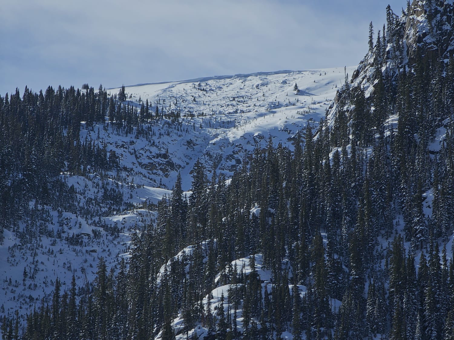 Observation photo