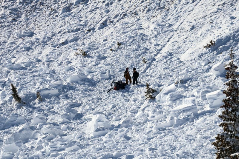 Observation photo 4
