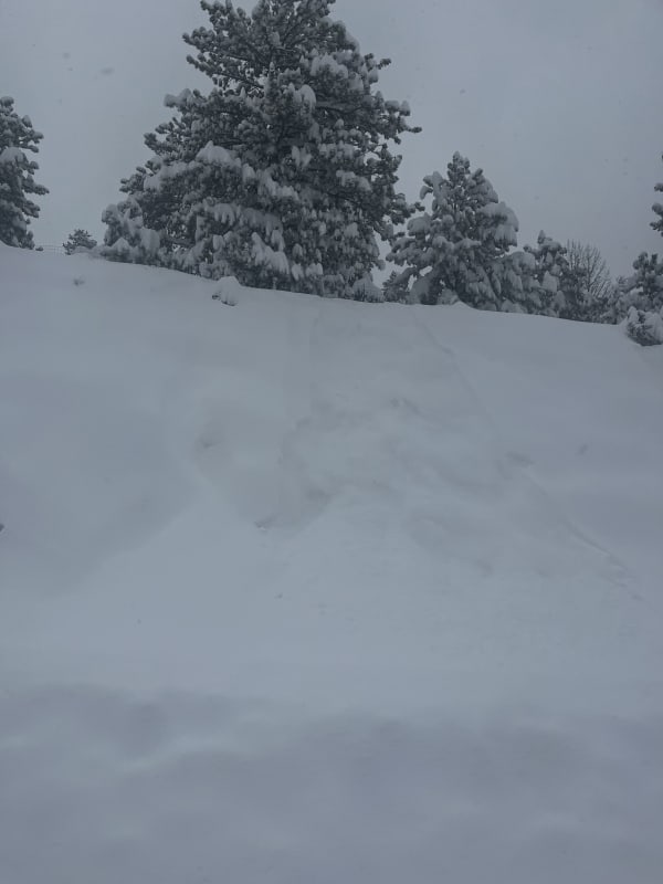Observation photo 3