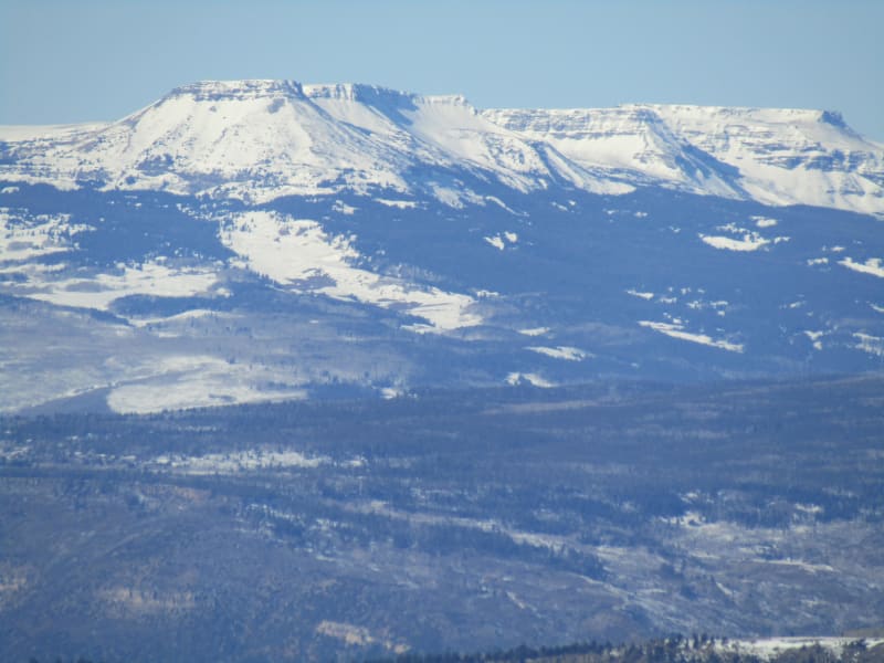 Observation photo 5