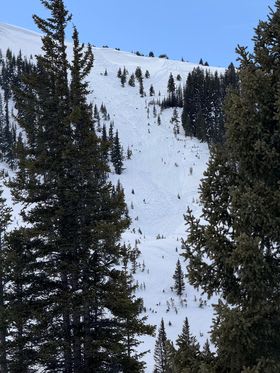 Observation photo 2