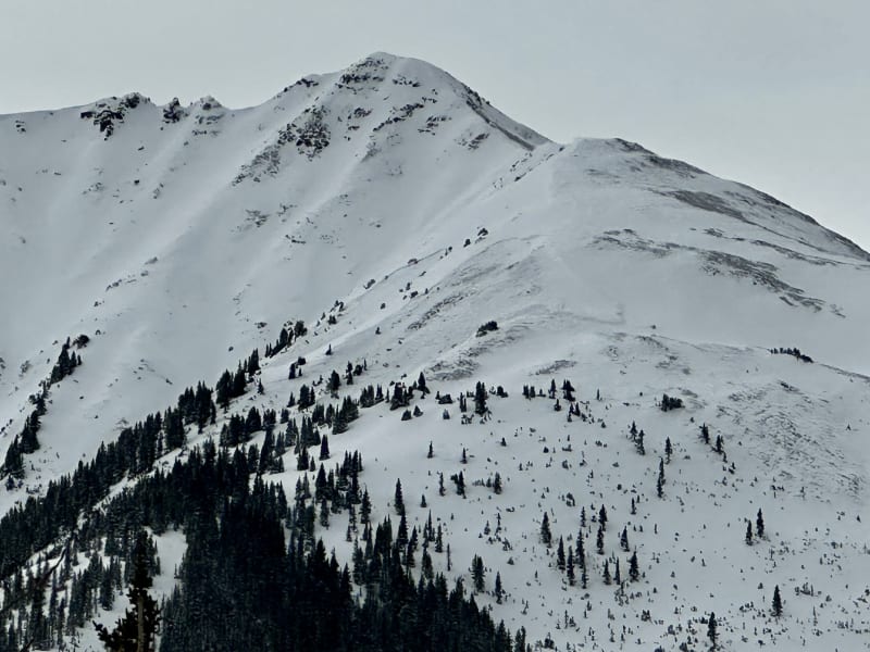 Observation photo 2