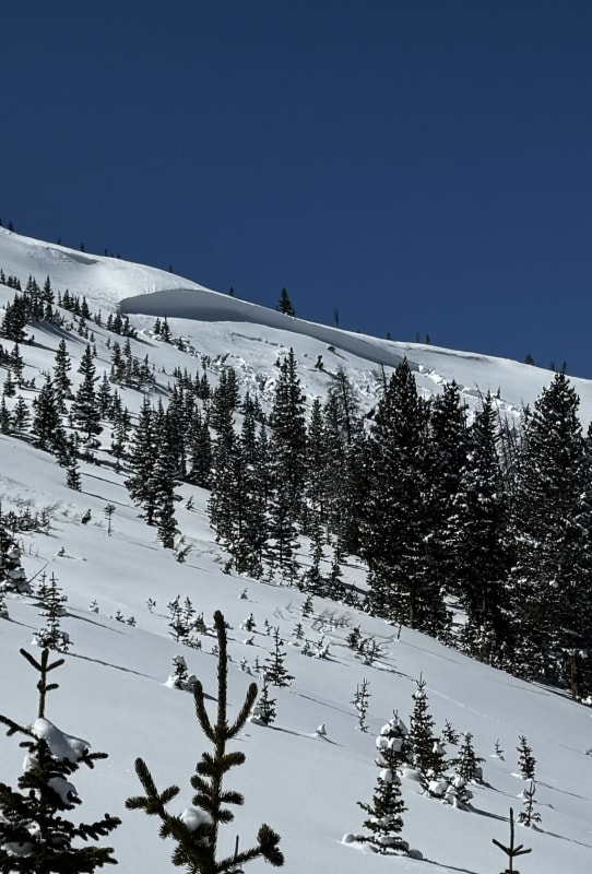 Observation photo 1