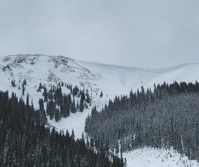 Observation photo 1