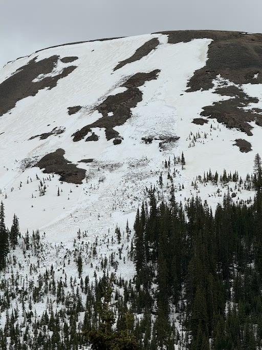 Observation photo 1