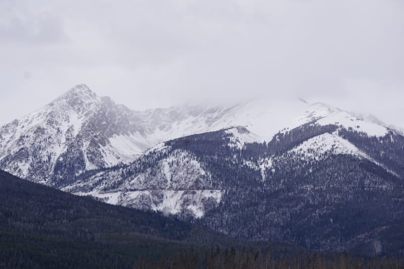 Observation photo 2