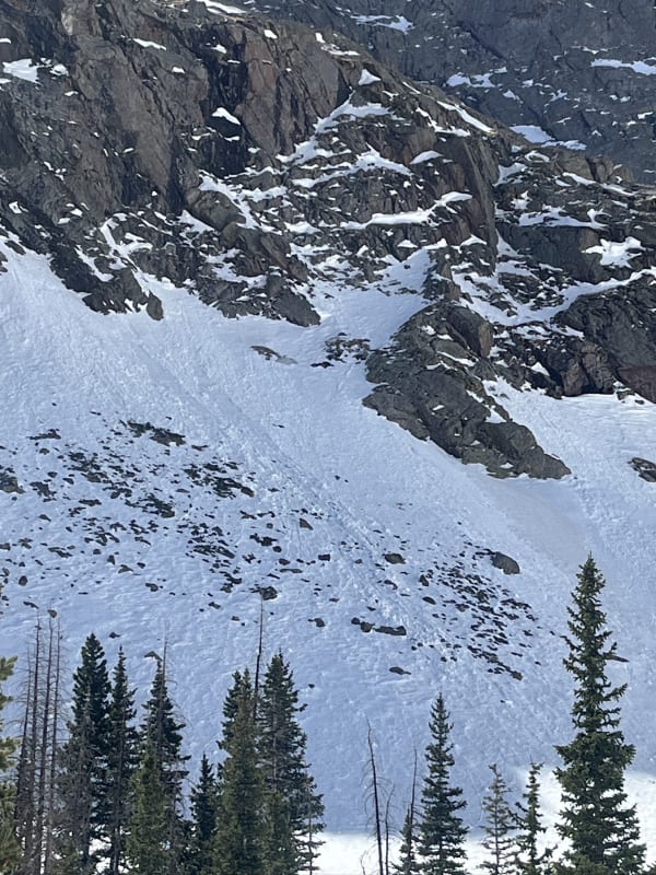 Observation photo 5