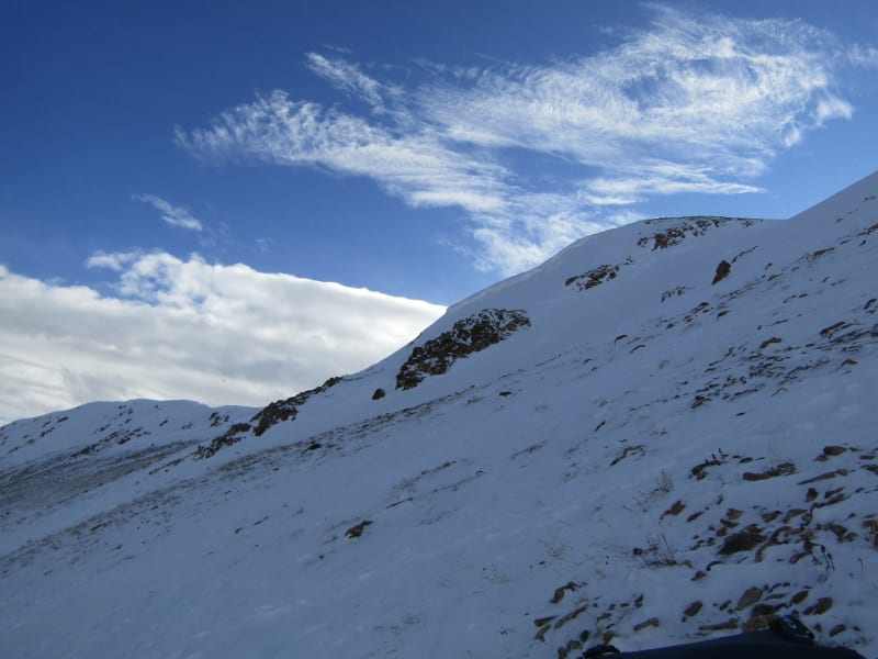 Observation photo 5