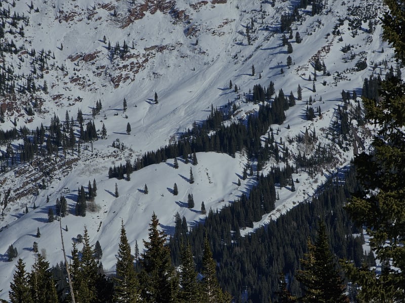 Observation photo 1