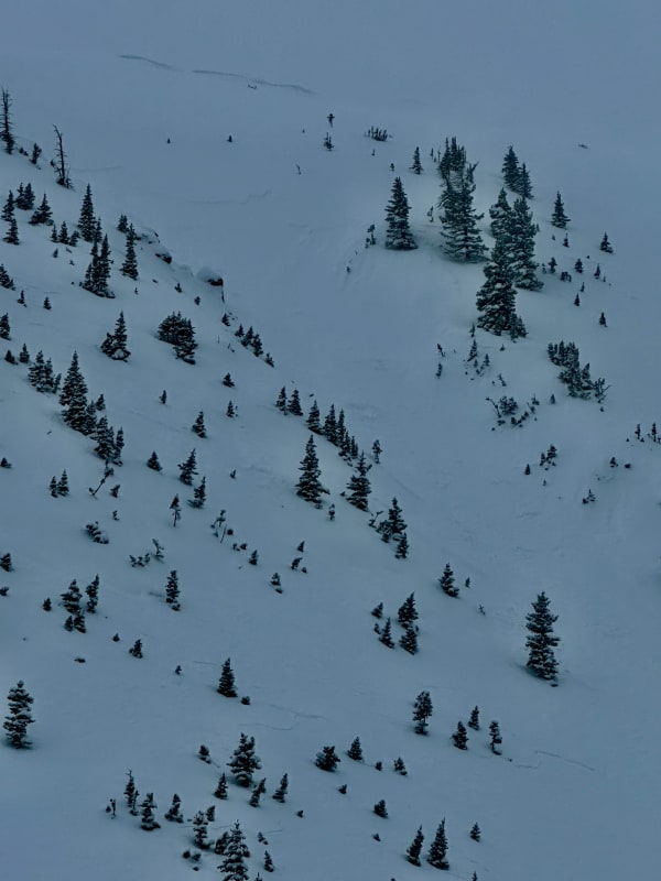 Observation photo 1