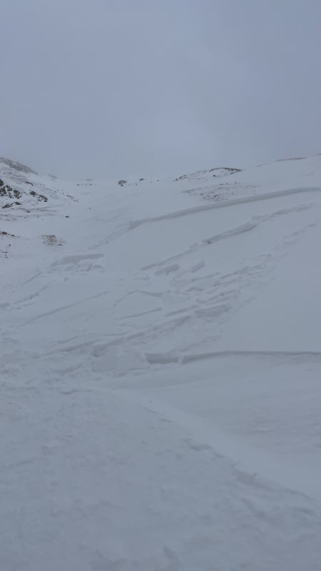 Observation photo 3