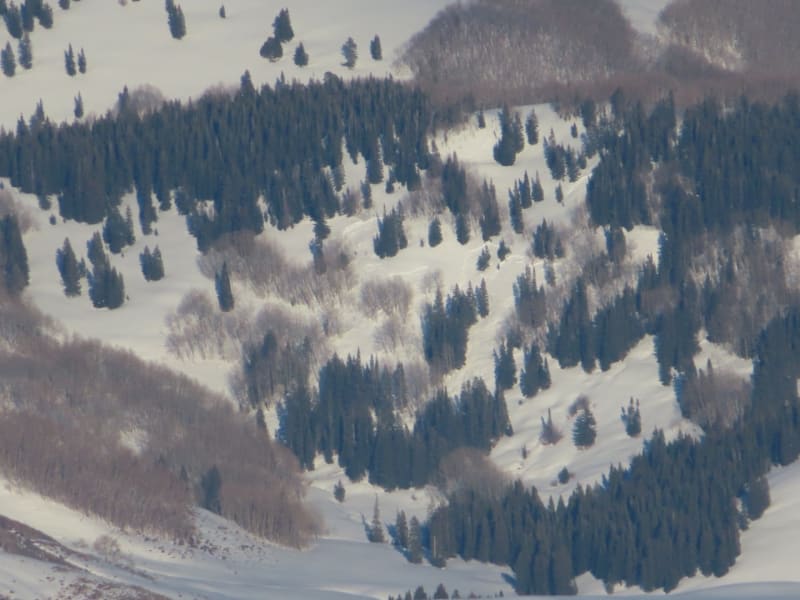 Observation photo 6